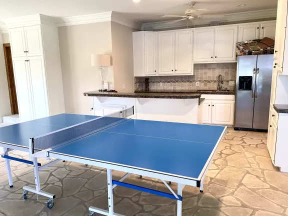 Entertainment PingPong scaled